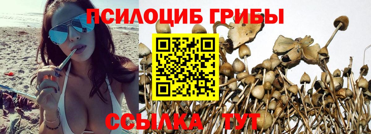 Псилоцибиновые грибы мицелий Снежинск